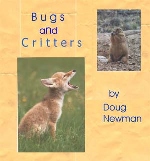 Doug Newman - Bugs and Critters